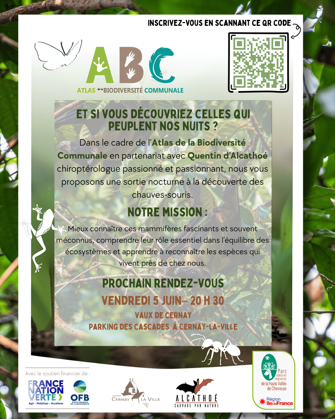 5 juin Sortie Nocturne Chauve Sourie 20260511