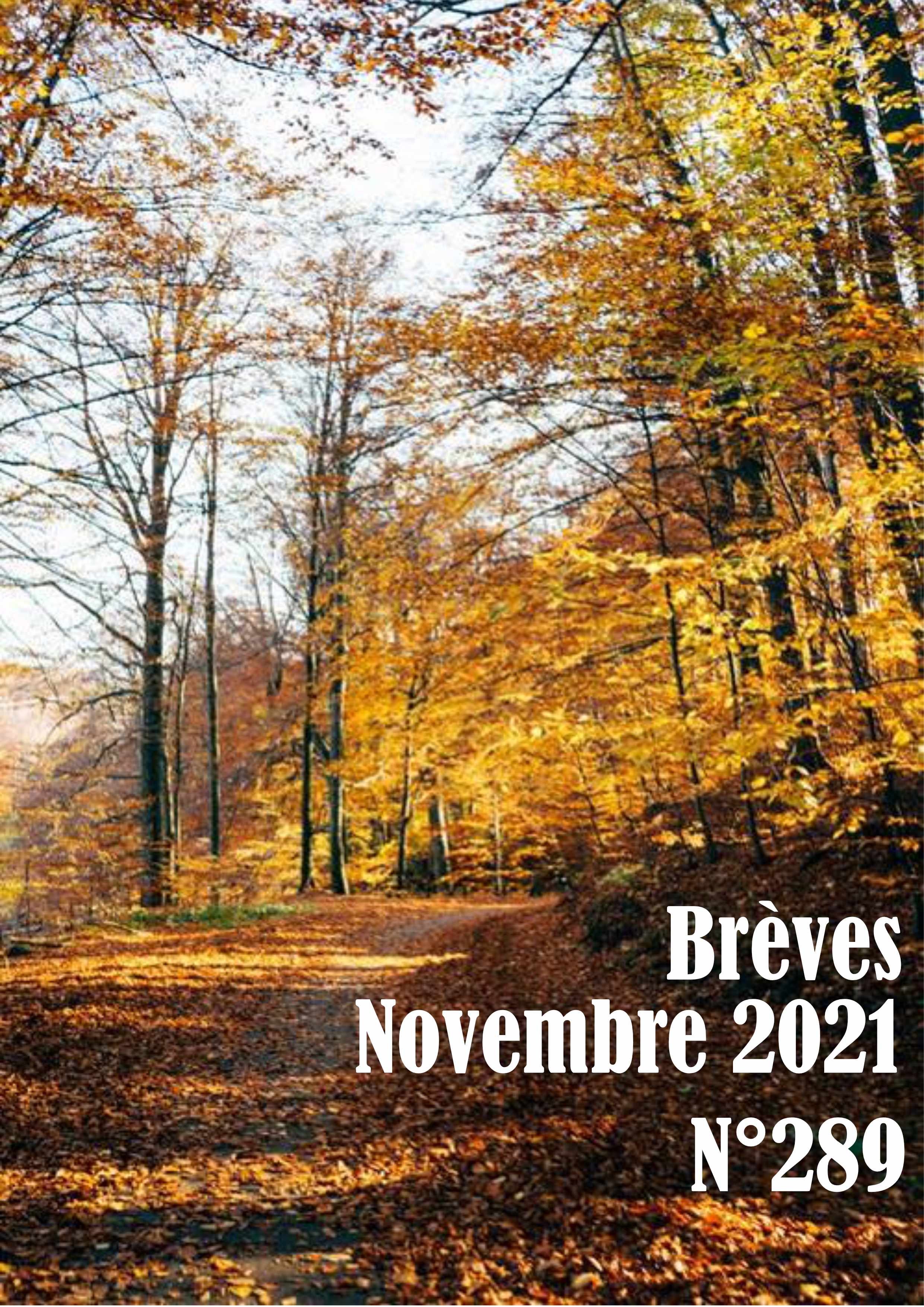 Breves novembre 2021 N 289 site