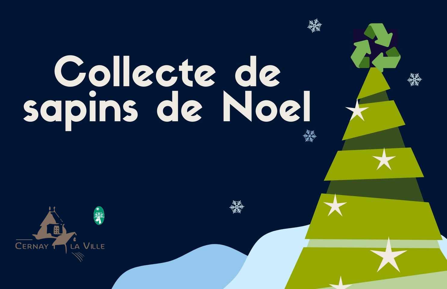 collecte des sapins