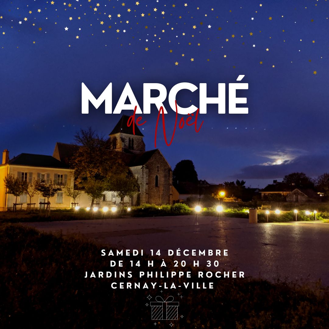 marché de noël 2024 insta publi 1